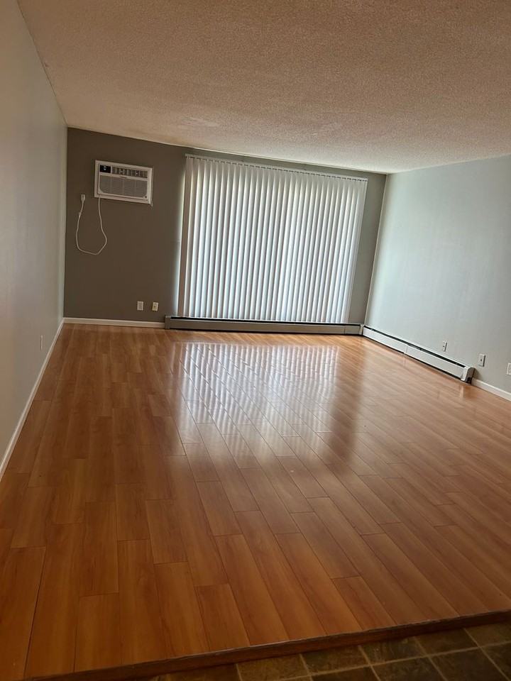 PERSAUD BRAMANTES APARTMENTS - Photo 7 of 8