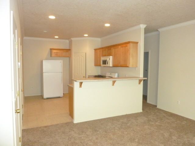 co20800 - Photo 3 of 14