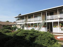 featured image of 15265 La Alameda Dr