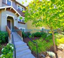 featured image of 237 Bluebonnet Ln #204