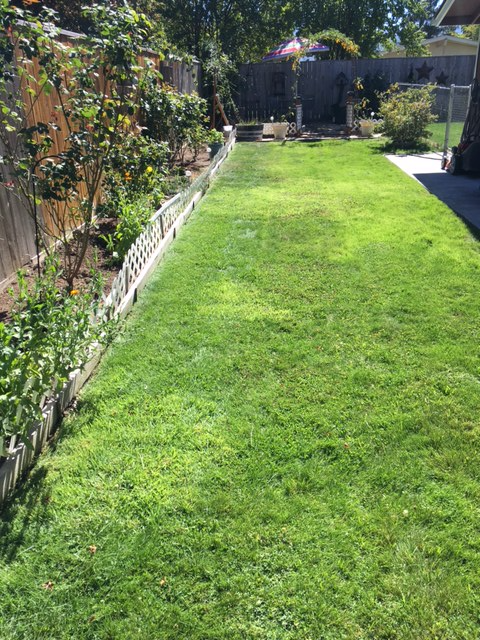 2906 Alameda St - Photo 3 of 15