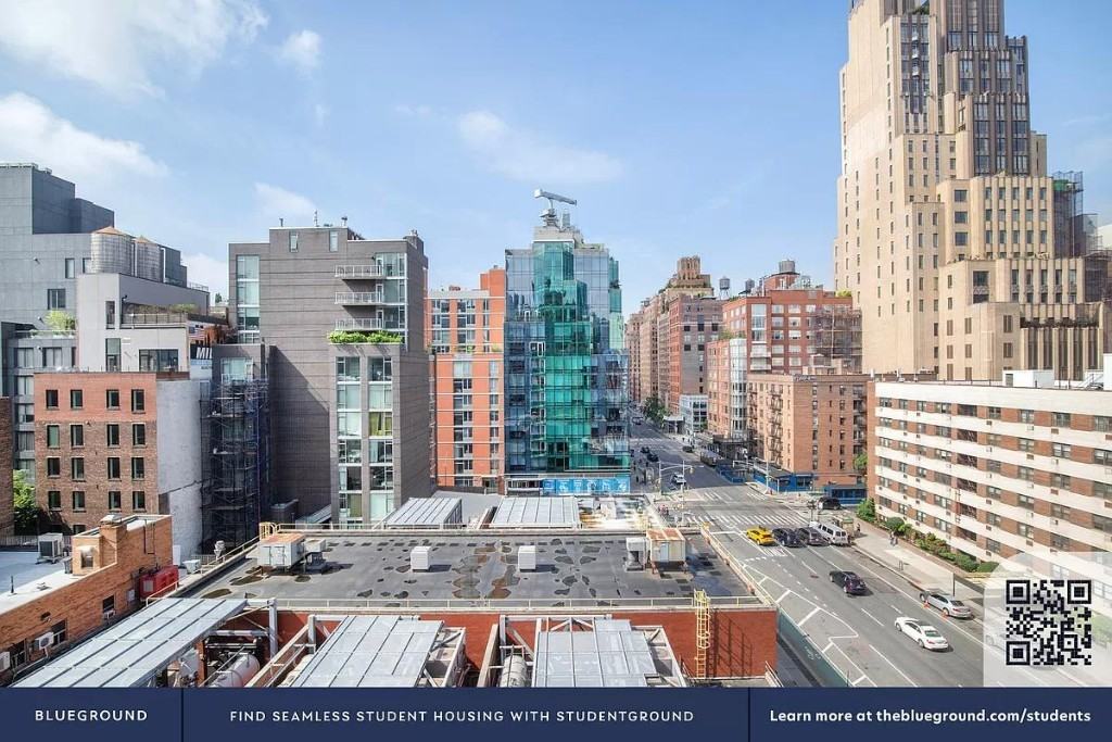 W 20th St #9C - Photo 6 of 20