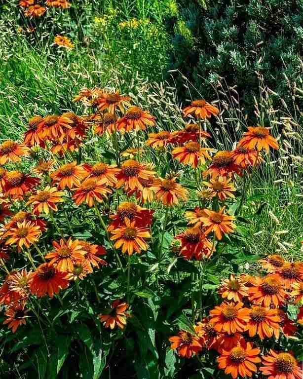 Broome St #707 - Photo 6 of 8