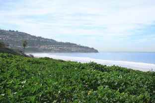 1000 S Catalina Ave - Photo 1 of 1