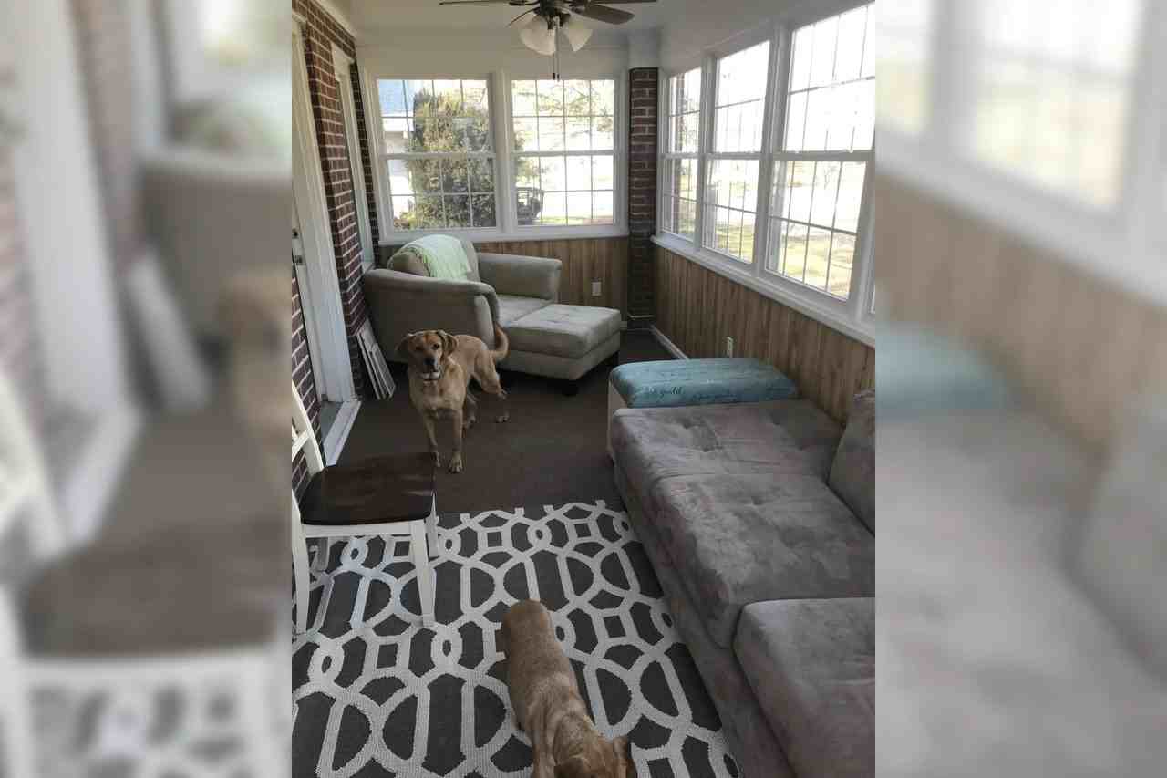 2920 51st St - Photo 3 of 15