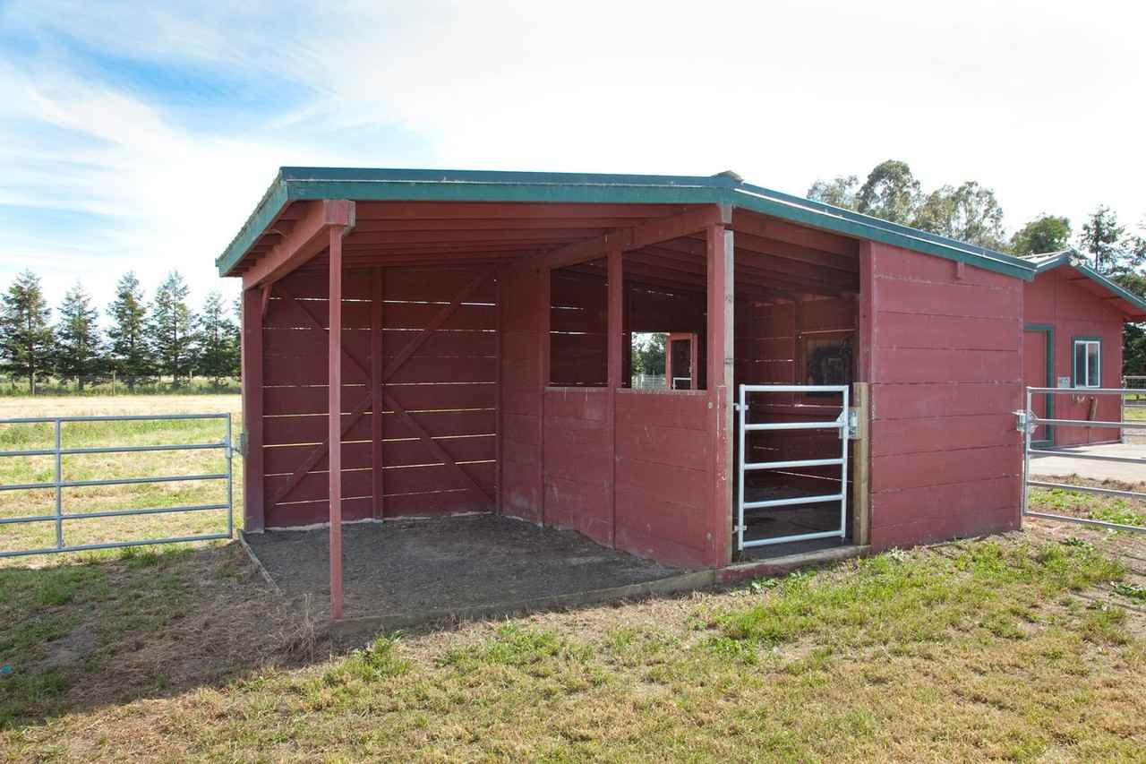 3882 Llano Rd - Photo 3 of 37