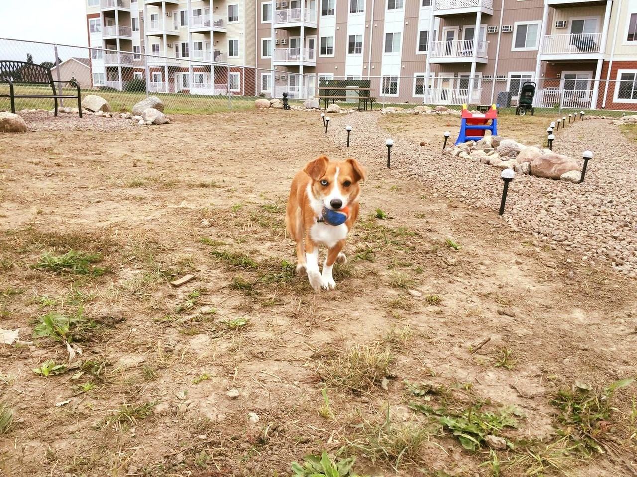 Citadel by Belcastle - Photo 7 of 32