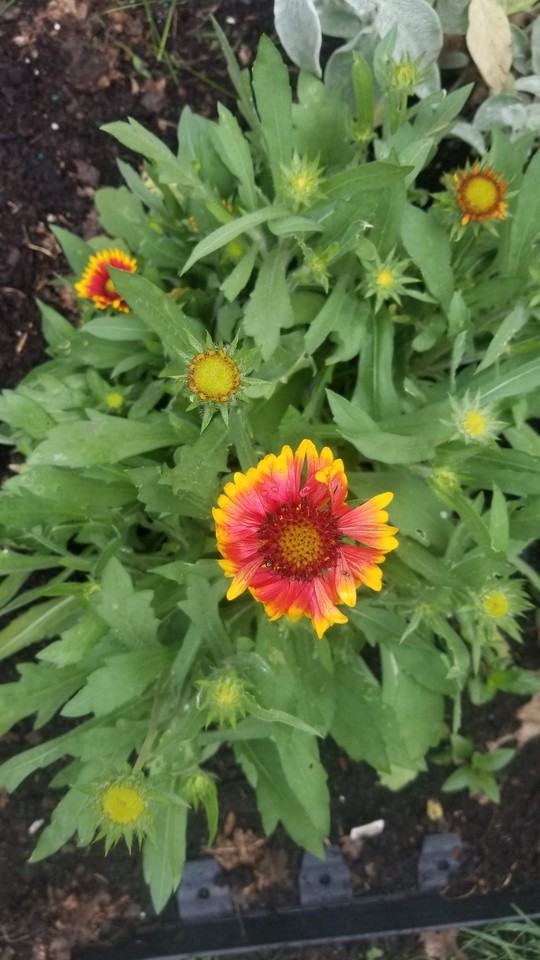 418 Chautauqua St #NA - Photo 2 of 10