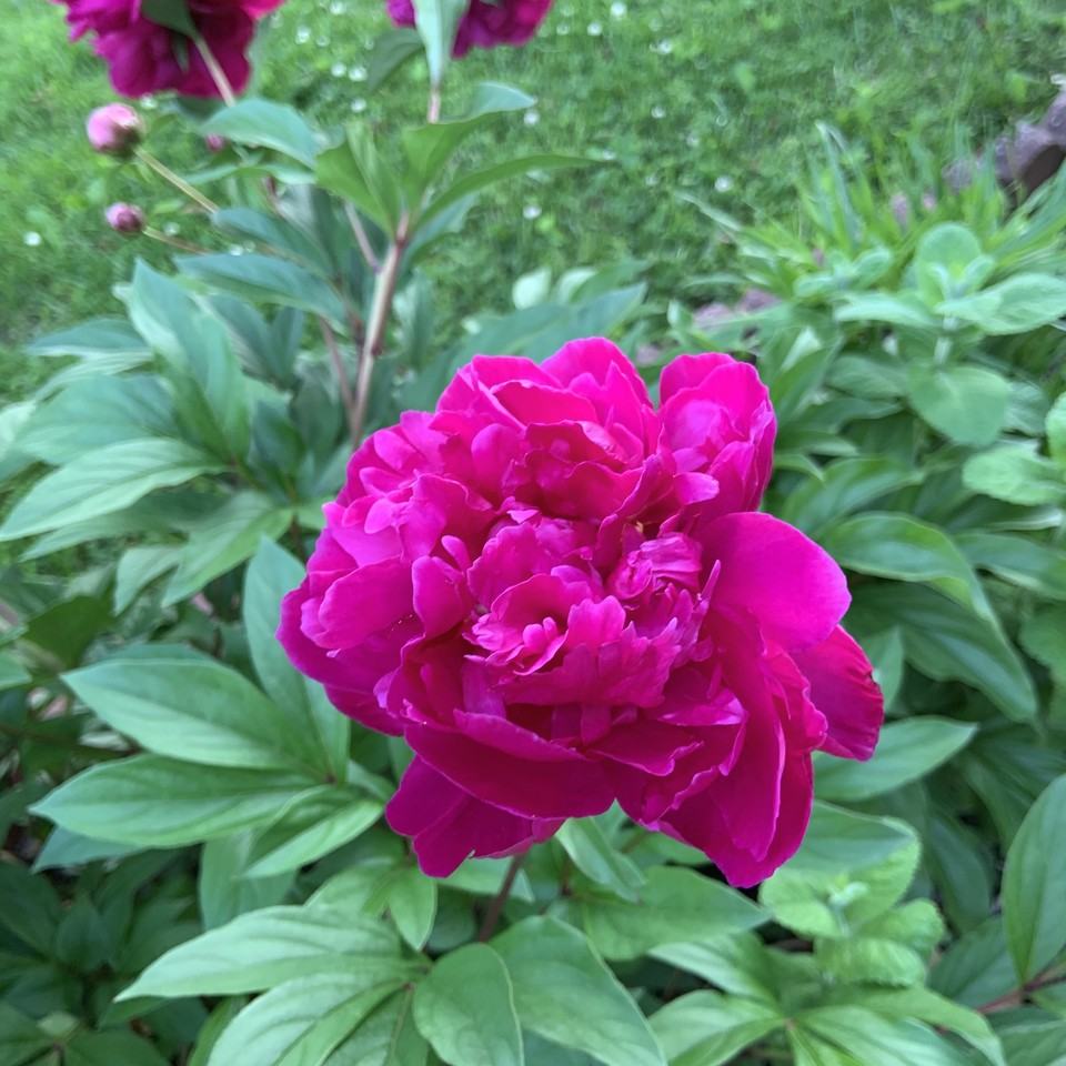 7602 Cosgrove Pl #NA - Photo 3 of 11