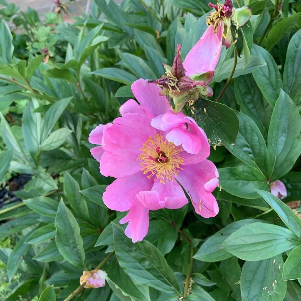 7602 Cosgrove Pl #NA - Photo 4 of 11