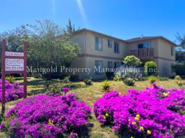 featured image of 3130 Bayer St