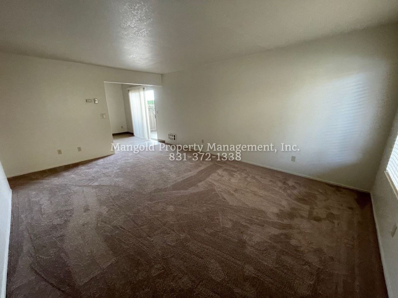 bayer - Photo 3 of 16