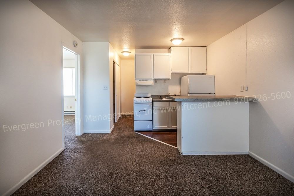 500 W Laporte Ave - Photo 5 of 23