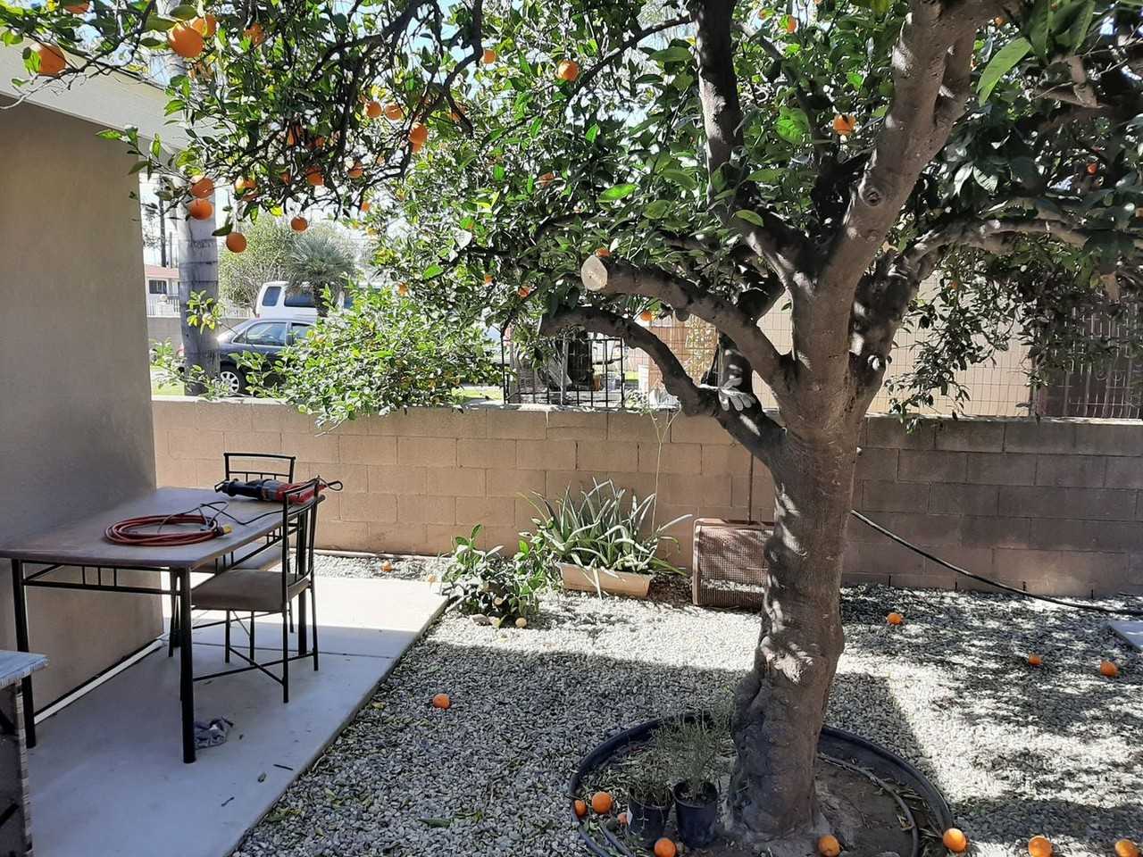 1072 W 14th St - Photo 2 of 14