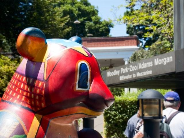 2701 Connecticut Ave - Photo 2 of 11