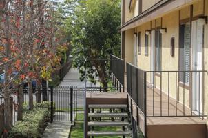 featured image of 366 Avocado St