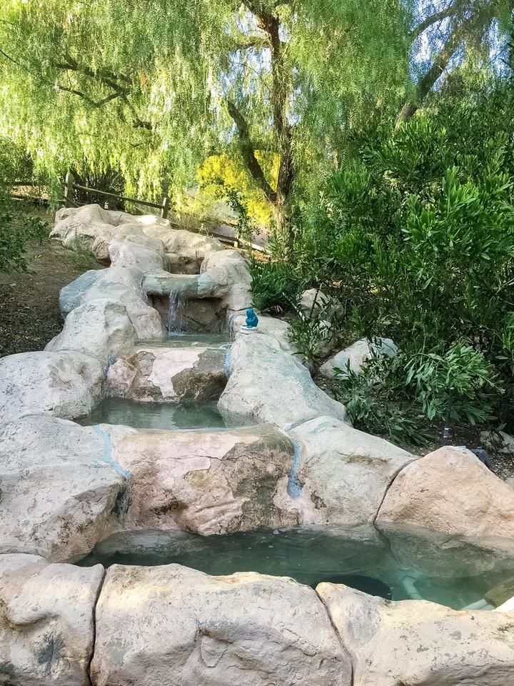 1746 Deerhill Trl - Photo 3 of 43