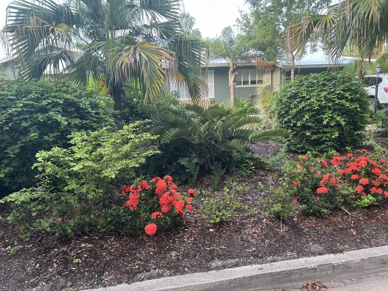 2216 Hibiscus St #2216 - Photo 2 of 24