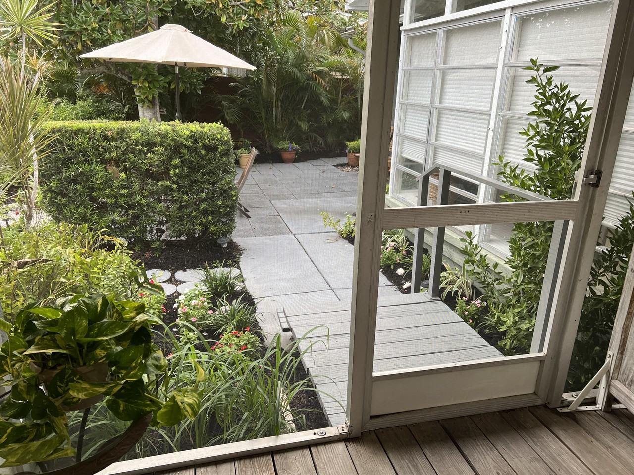 2216 Hibiscus St #2216 - Photo 7 of 24