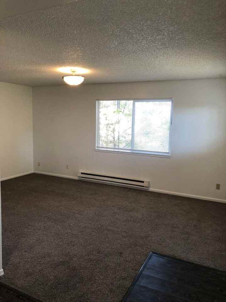 17th Ave North - Photo 3 of 14