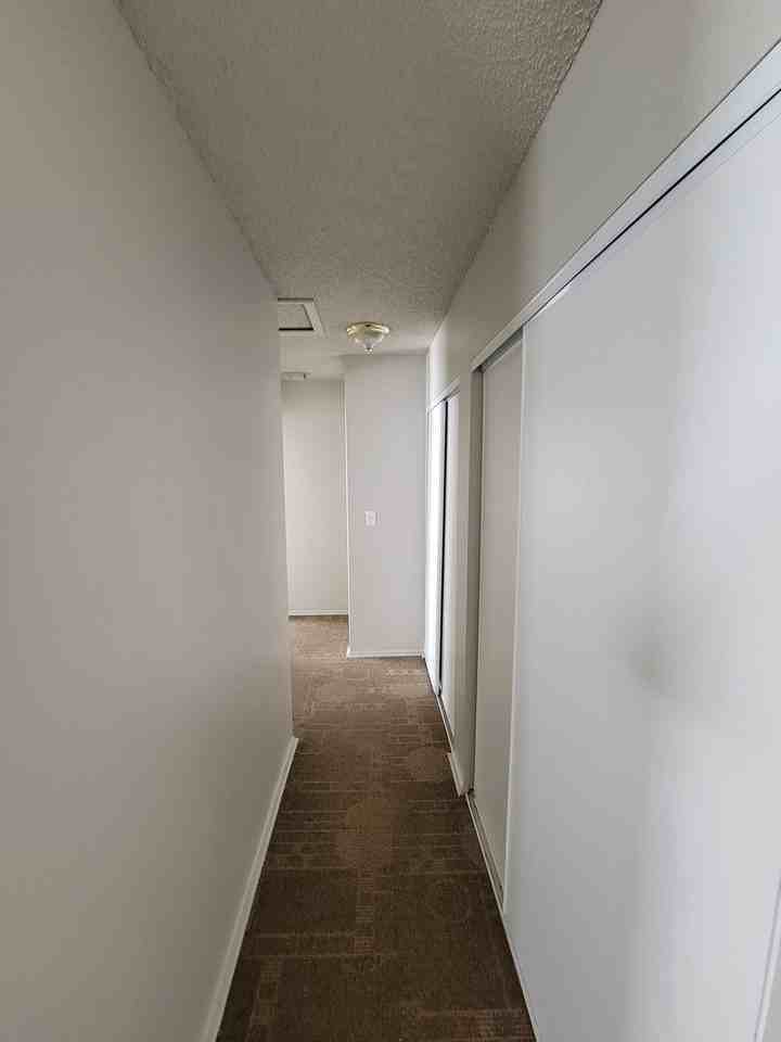 1725 Olive Rd - Photo 3 of 7