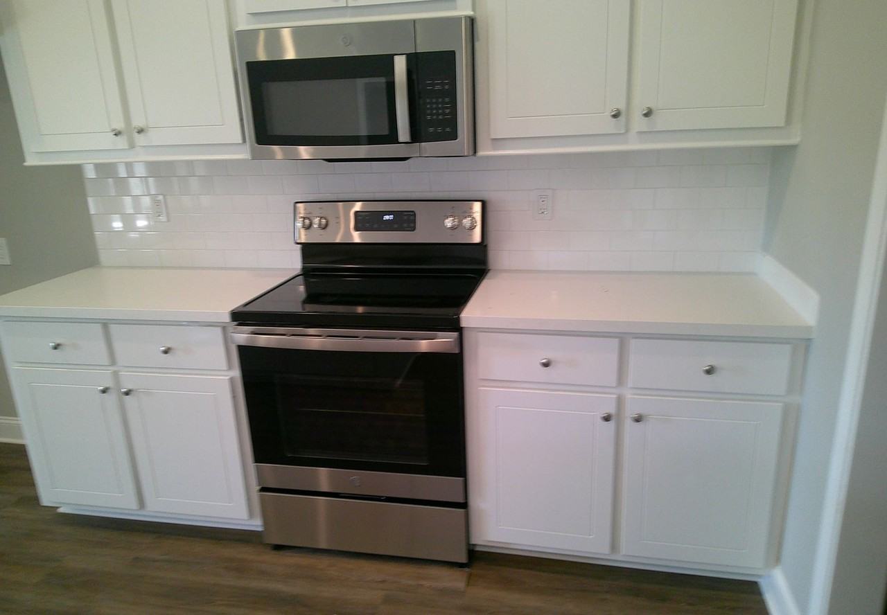 307 Jasmine Cove Ln - Photo 4 of 16