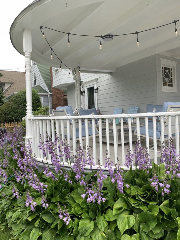 31 Ensign Road #NA - Photo 5 of 24