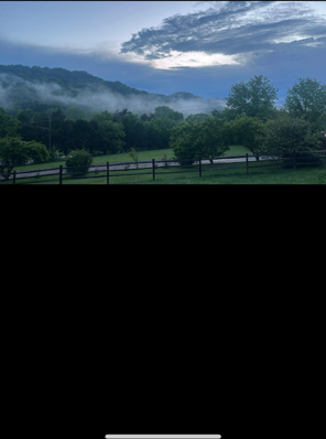 4819 Whites Creek Pike #NA - Photo 3 of 12