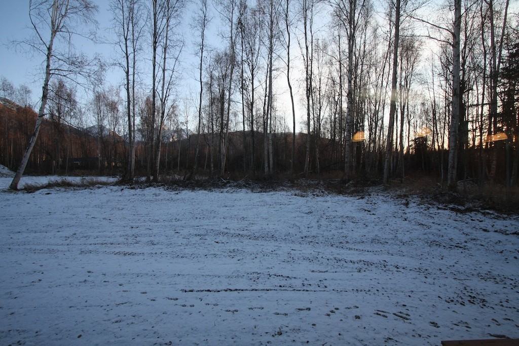 22724 Needels Loop - Photo 2 of 13
