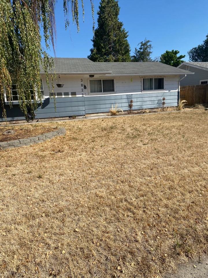 3823 Kelley Dr - Photo 3 of 18