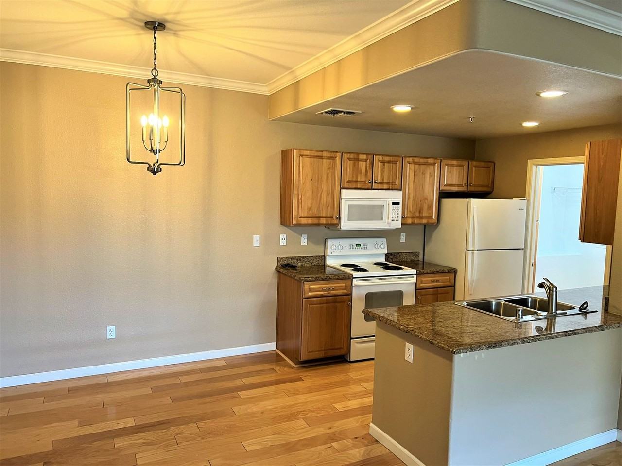1360 Shady Ln #924