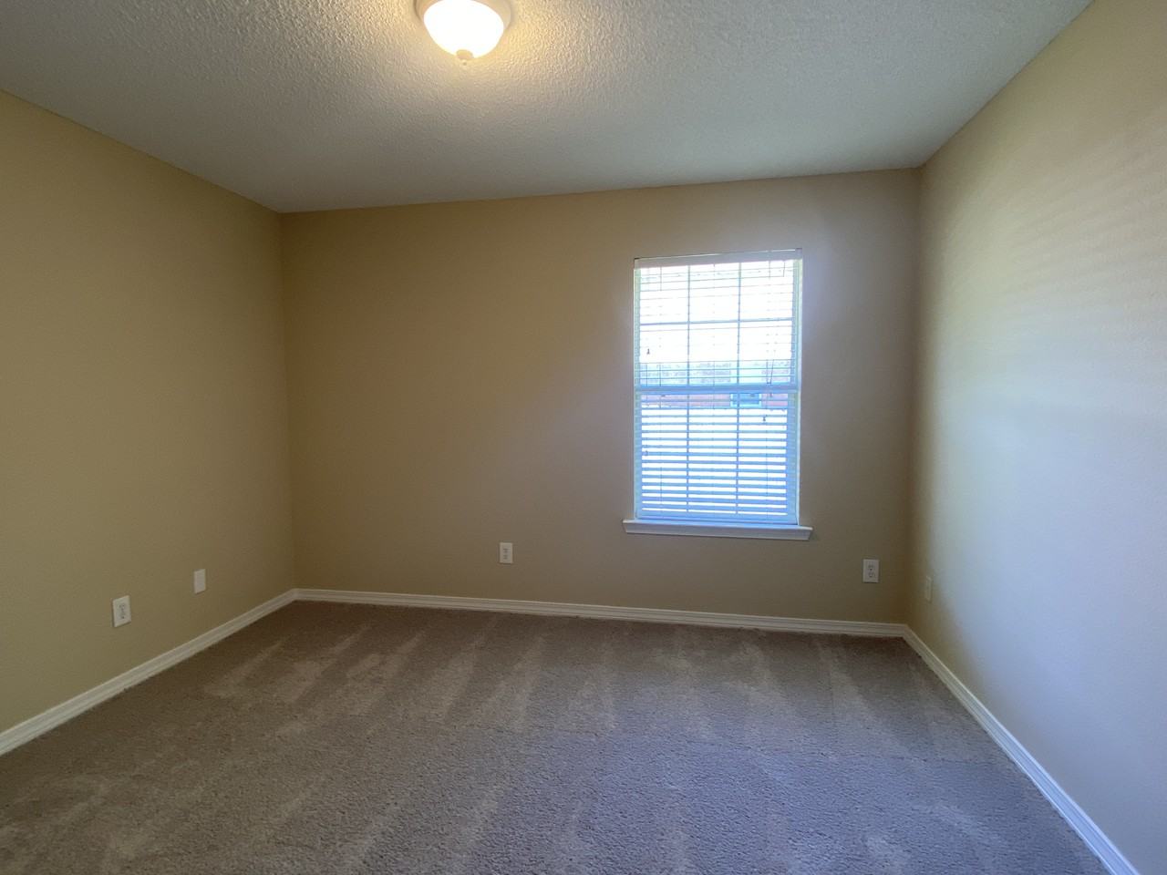 11815 Balsam Ct - Photo 7 of 16