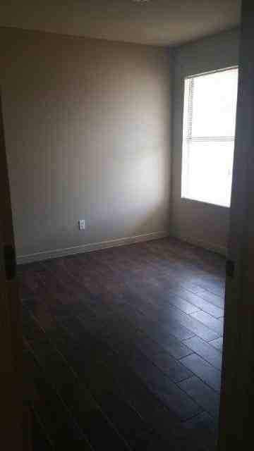 5619 A/B SALUKI - Photo 3 of 10