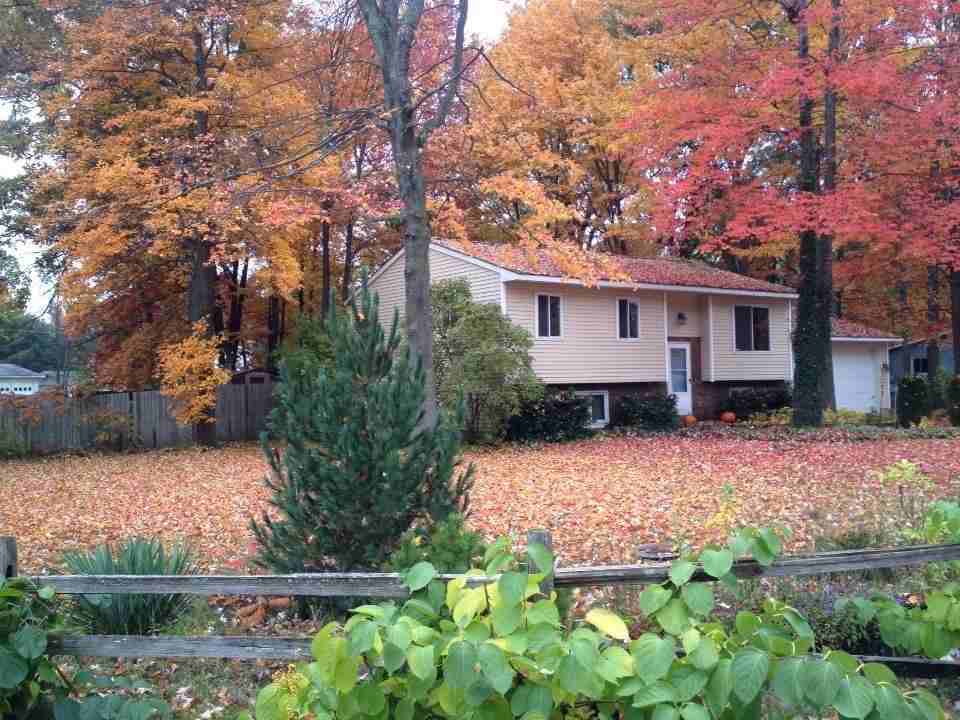 764 George St #NA - Photo 3 of 32