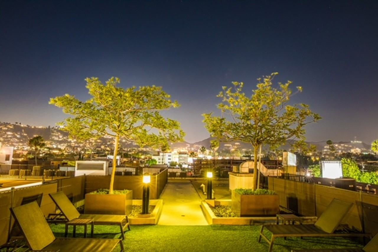 801 North - Photo 5 of 31