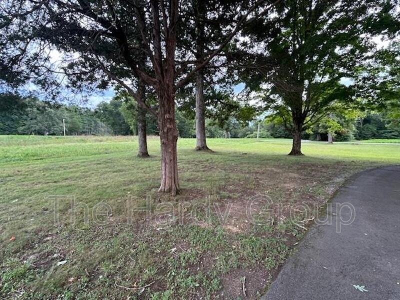 173 Carroll Hollow Rd - Photo 3 of 21