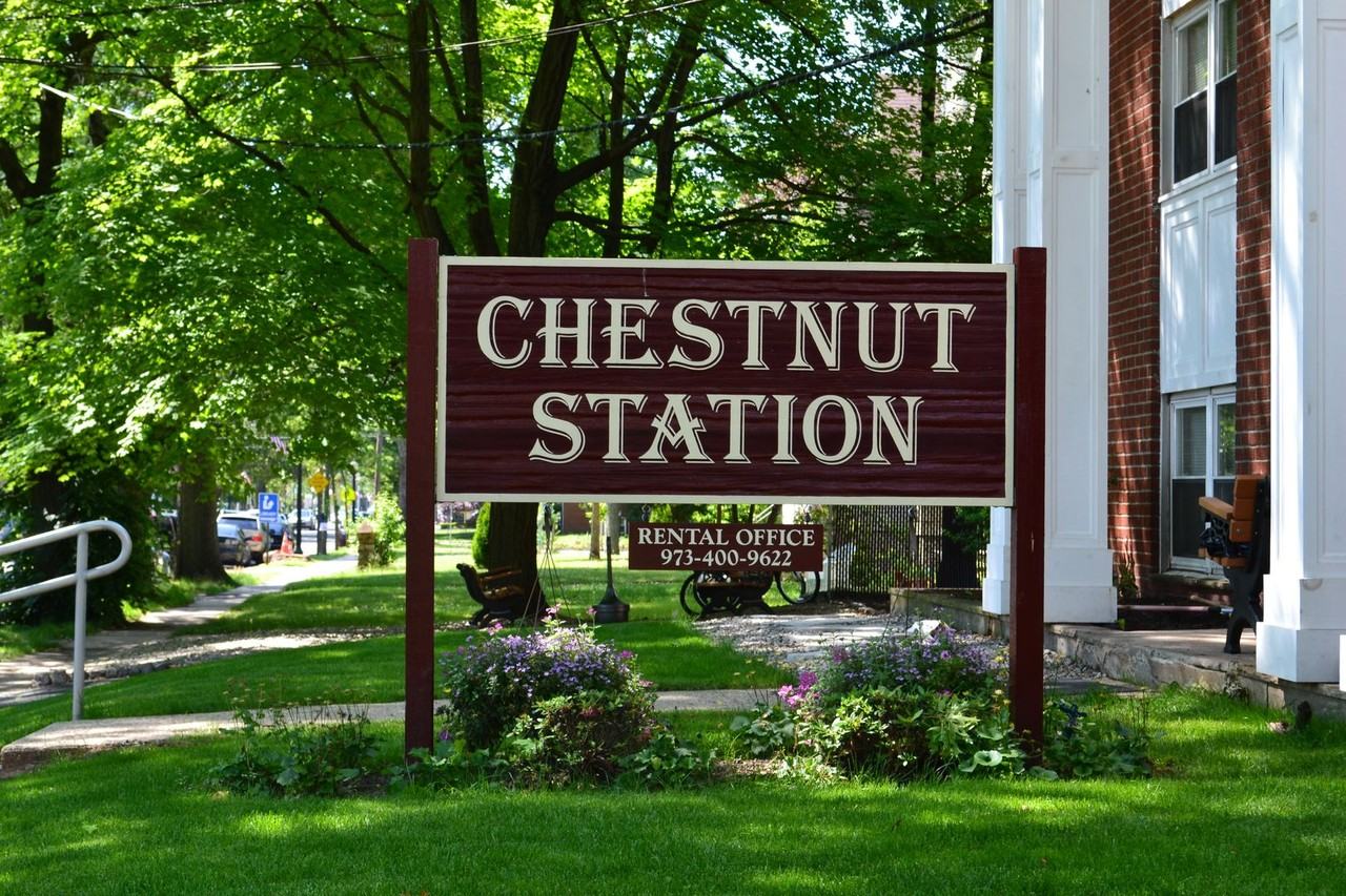 Chestnut Station - Photo 4 of 23