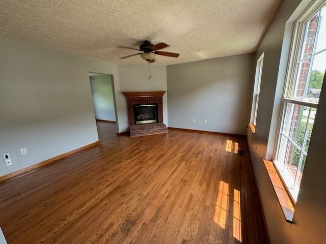 2123 Canyon Ct - Photo 2 of 17