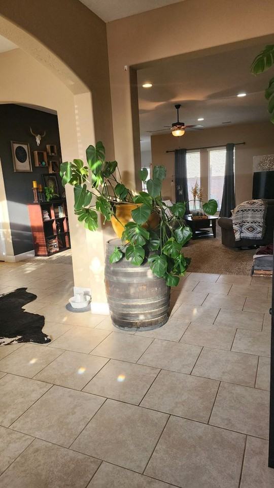 2701 Palo Pinto - Photo 6 of 27