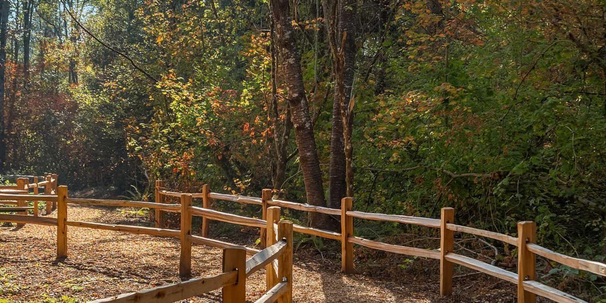 7722 176th St E - Photo 2 of 22