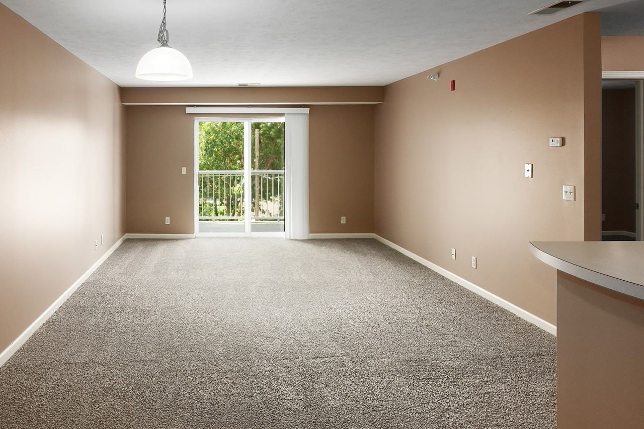 Maple Second - Photo 7 of 14