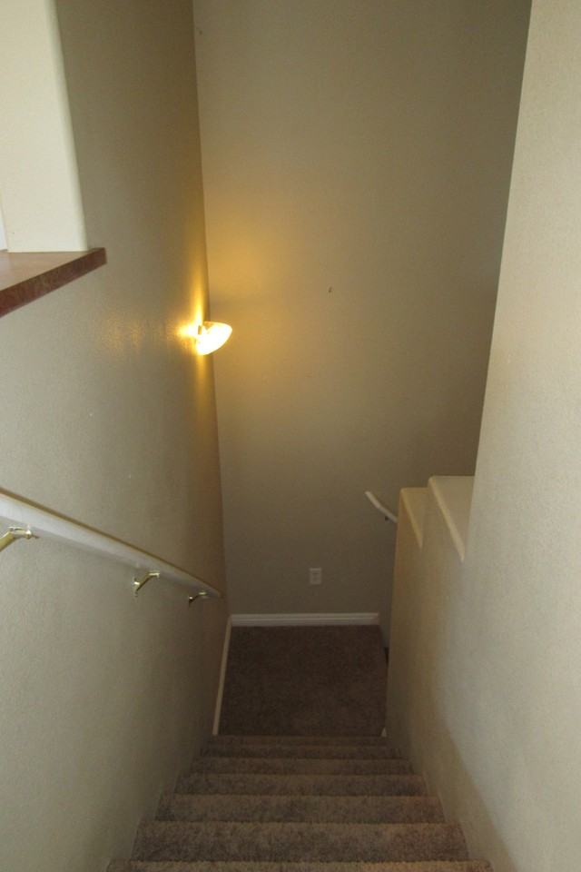 9068 Bushy Tail Ave #101 - Photo 7 of 20