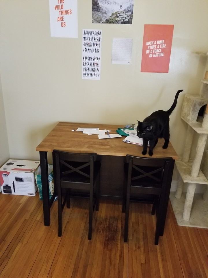 Twin Court Apartments - Photo 2 of 32