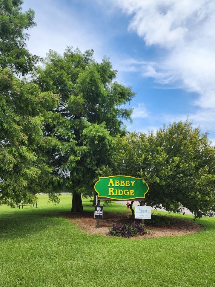 1732 Abbey Loop - Photo 3 of 36