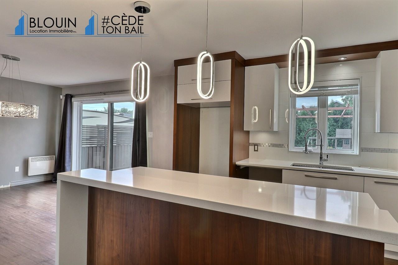 595 Rue des Plaines Rouges - Photo 3 of 29