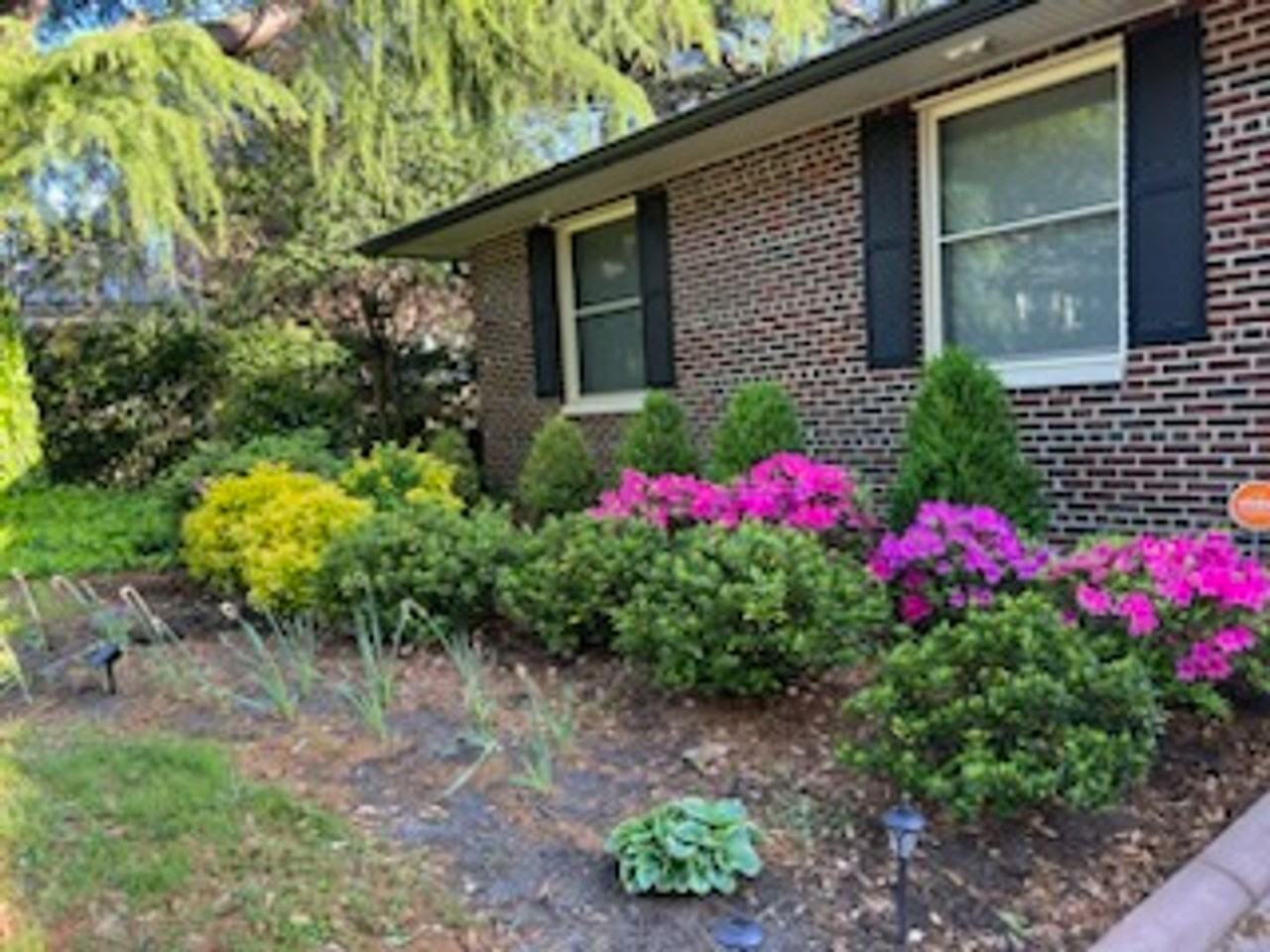 720 Shirley Ave - Photo 2 of 49