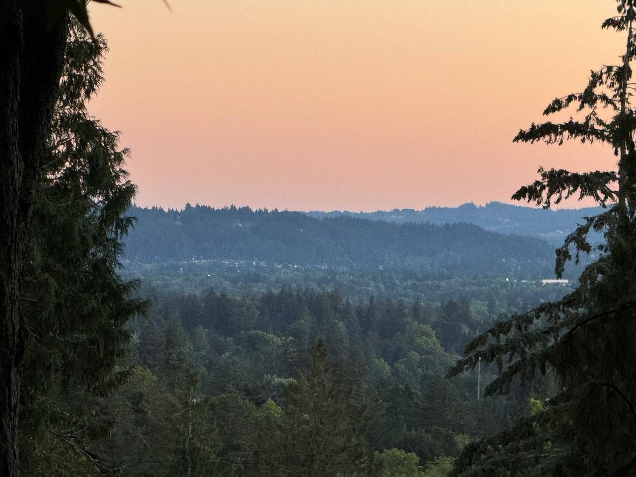 7237 Sw Canyon Dr - Photo 2 of 18