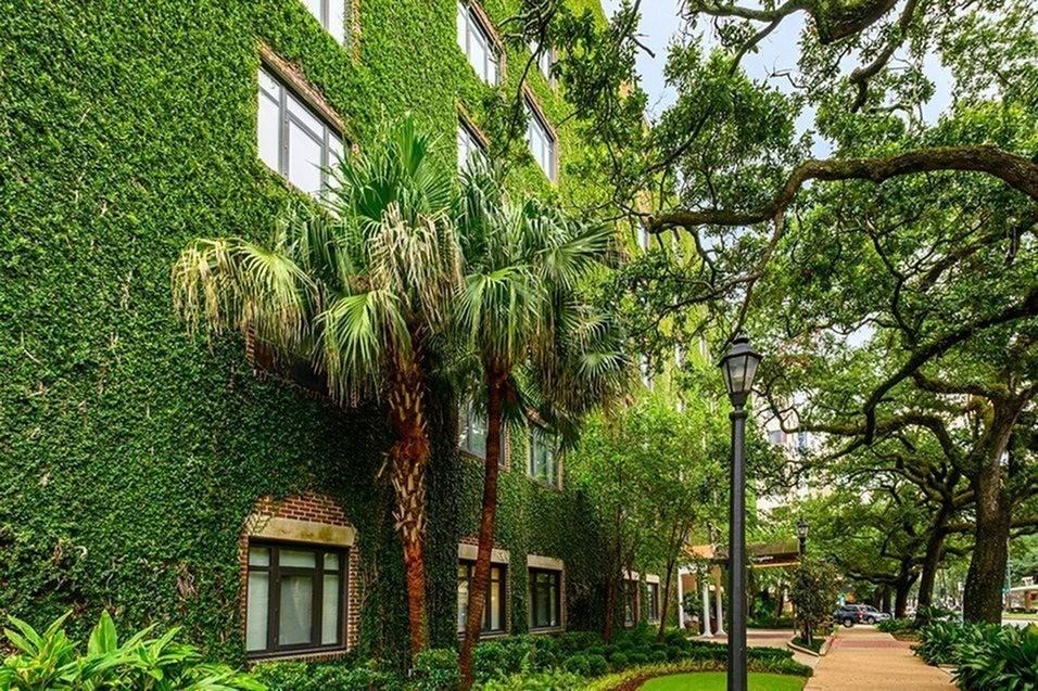 The Georgian - Photo 4 of 46