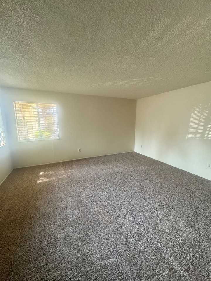 victor2010*** - Photo 2 of 17