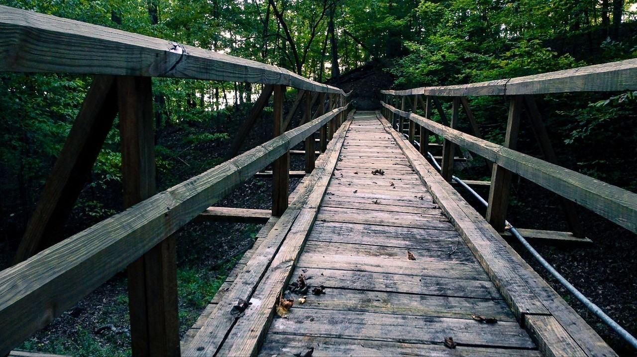 1233 Fishing Creek Estates Rd - Photo 2 of 27